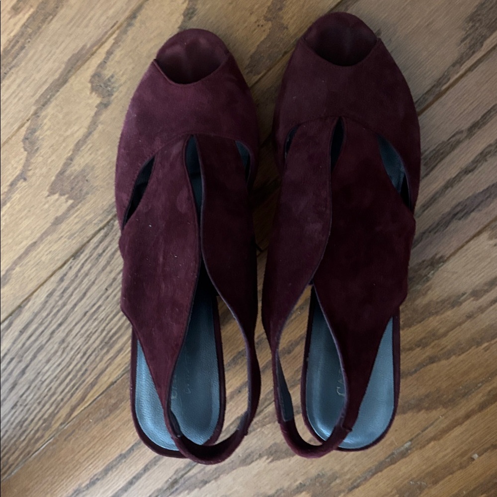 Elegant Burgundy Heels